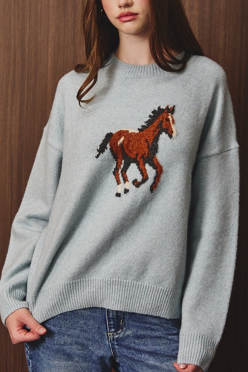HORSE LONG SLEEVE SWEATER