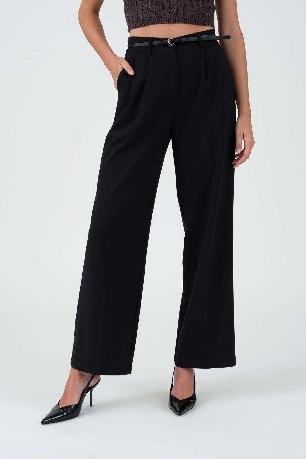 HIGH WAIST PLEATED WIDE LEG DRESS PANTS