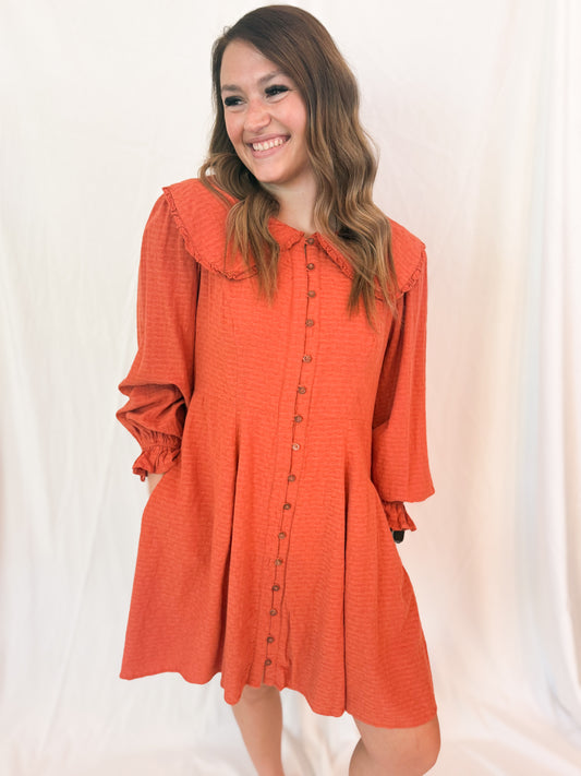 DOLL COLLAR BUTTON DOWN MINI DRESS